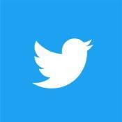 小蓝鸟twitter v3.3.1